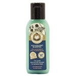 Шампунь, Рецепты бабушки Агафьи 50 мл На соках увлажнение и восстановление морошковый